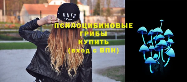 СК Лиски
