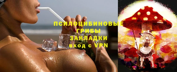 метадон Лагань