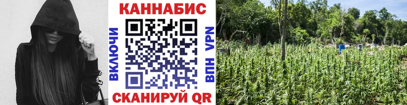 сайты даркнета Telegram  Сясьстрой  Конопля ГИДРОПОН 